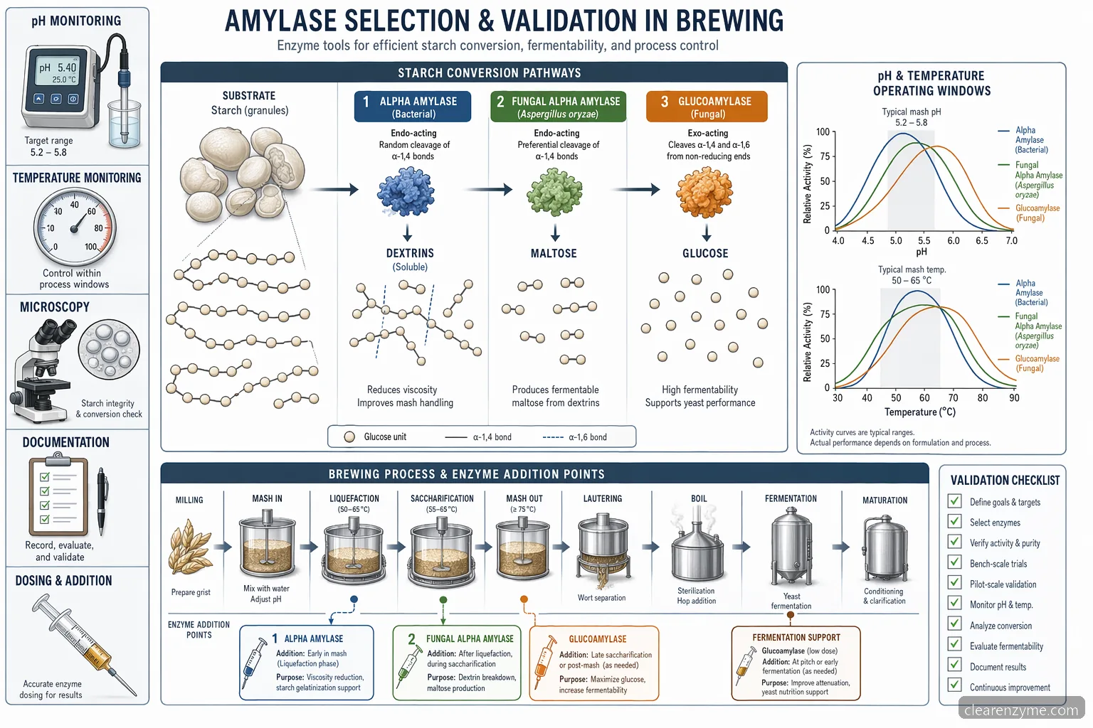 amylase brewing enzyme for industrial brewing formulations, mapping starch conversion, pH, temperature, and dosing points