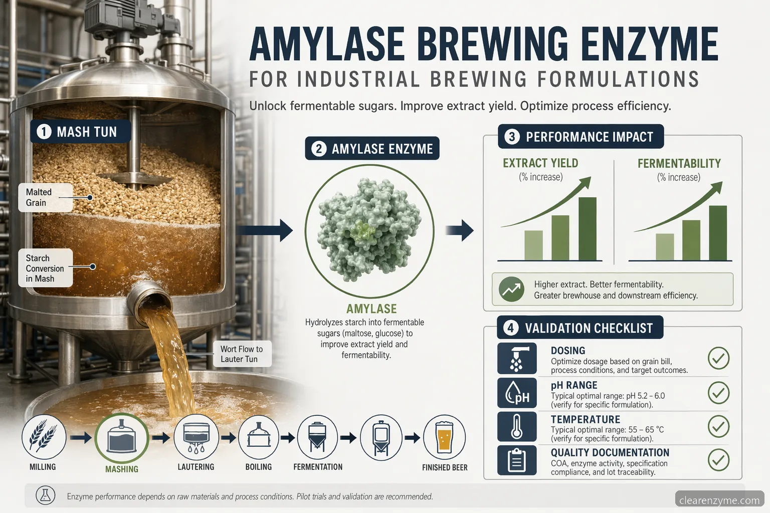 amylase brewing enzyme for industrial brewing formulations, showing yield, fermentability, dosing, and QC factors