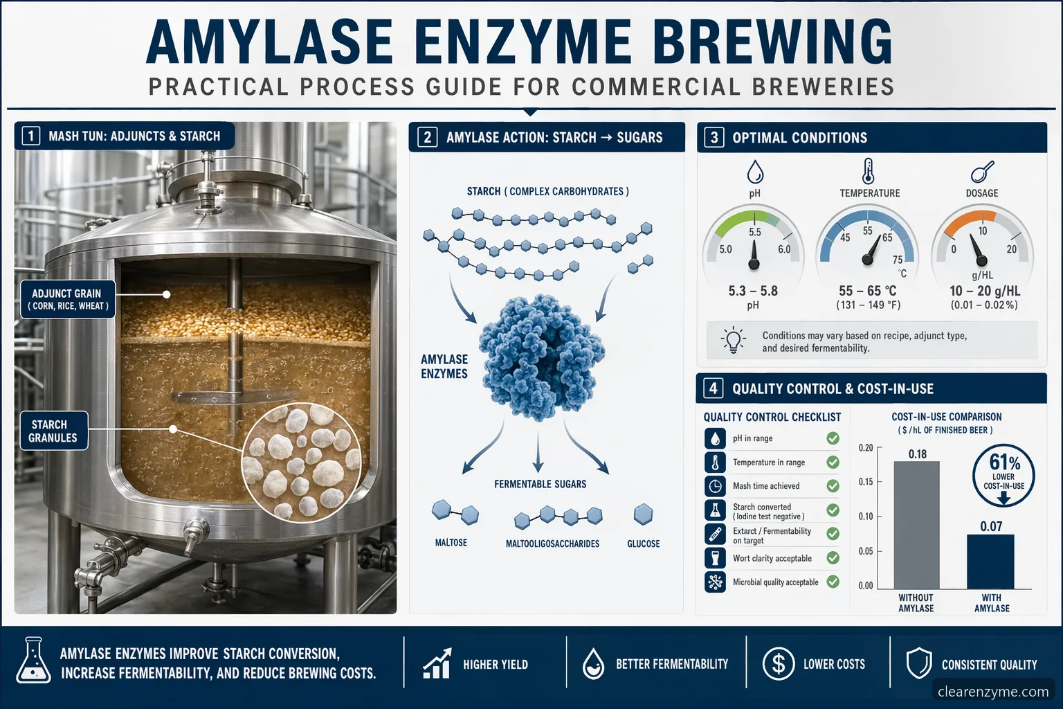 amylase enzyme brewing practical guide infographic with mash conversion, pH, temperature, dosage, and QC checkpoints