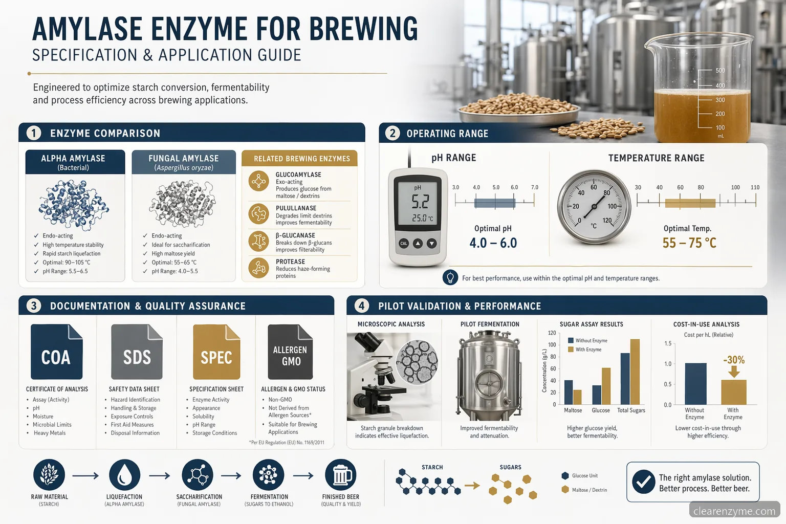 amylase enzyme for brewing B2B specification checklist comparing enzyme types, process ranges, QC documents, and cost-in-use