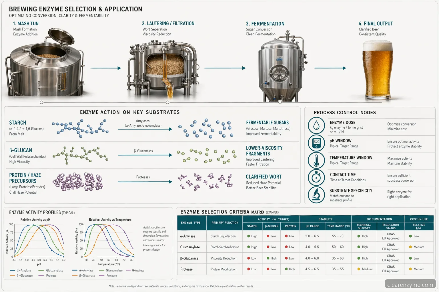 brewing enzymes efficiency specification checklist process diagram mapping dose, pH, temperature, substrates, and outputs