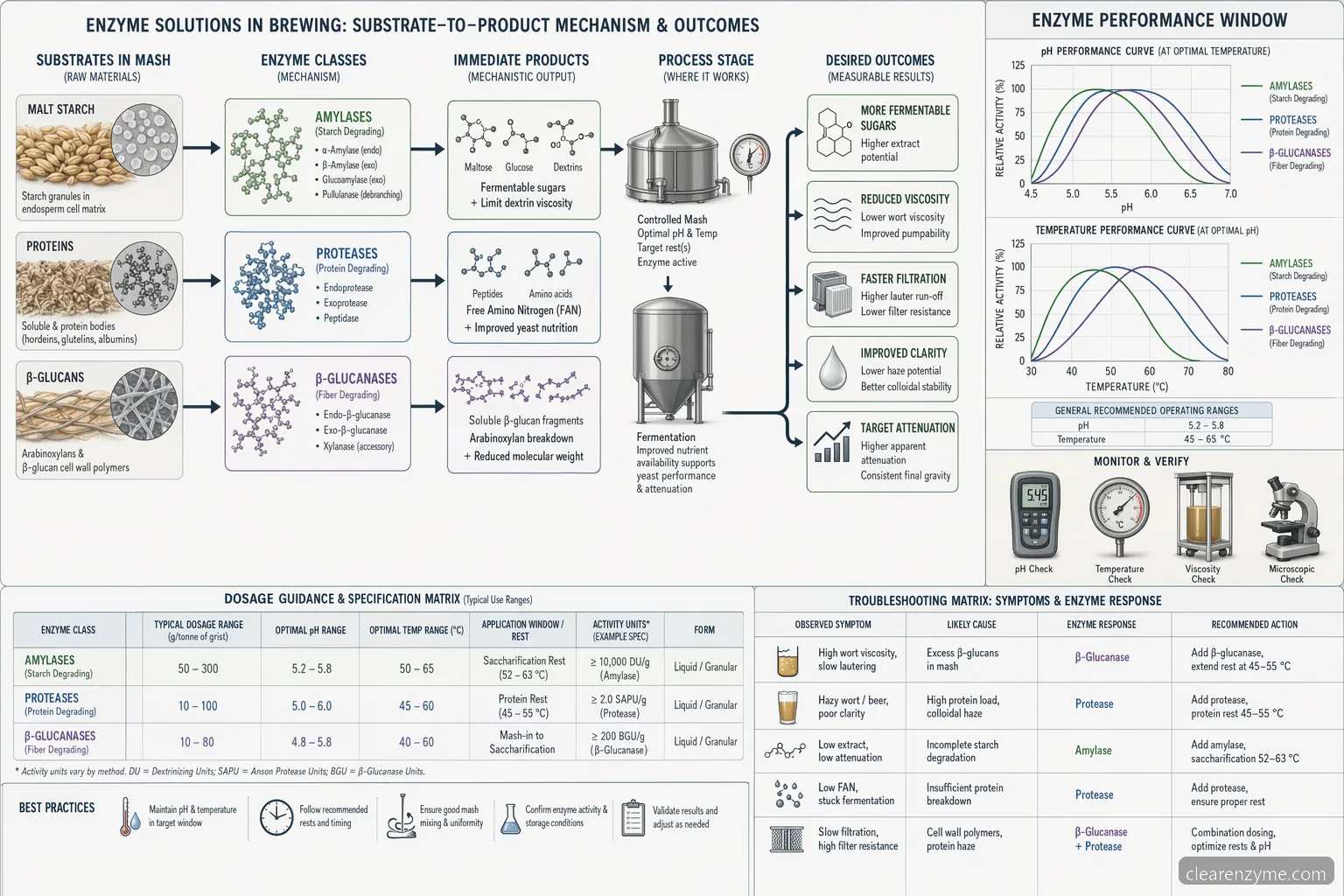 brewing enzymes market trends process diagram mapping starch, protein, and beta-glucan enzymes to pH, temperature, and brewery outcomes