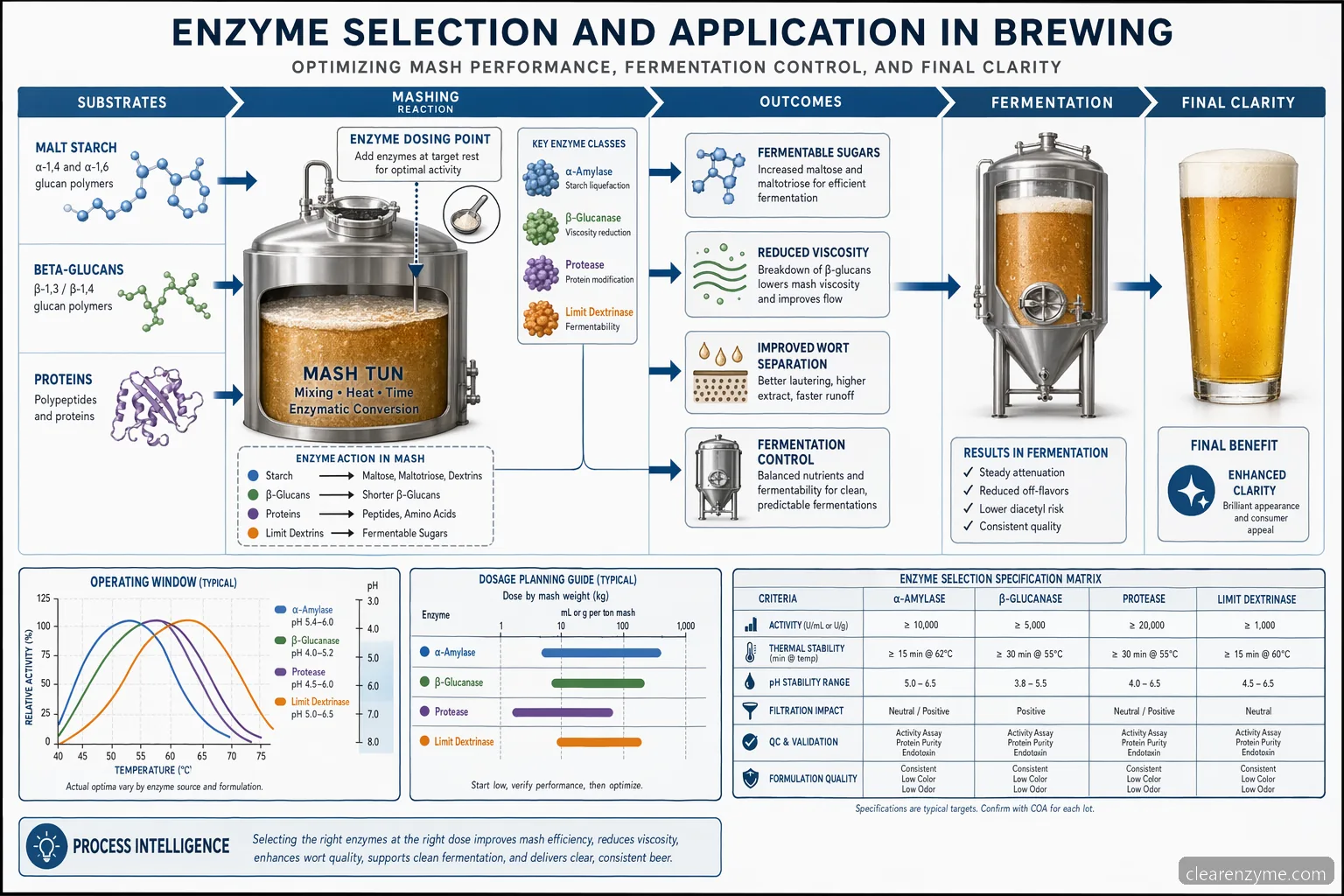 us brewing enzymes market process guide diagram showing enzyme dosing, pH-temperature controls, wort filtration, and QC checks